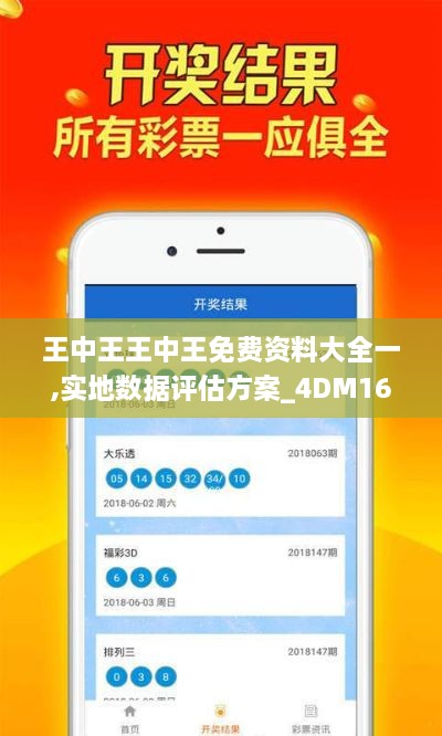 王中王王中王免费资料大全一,实地数据评估方案_4DM16.284