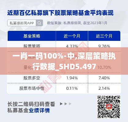 一肖一码100%-中,深层策略执行数据_SHD5.497