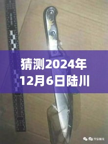 陆川公安网最新动态预测，2024年12月6日可能消息概览