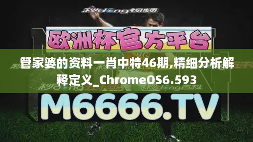 管家婆的资料一肖中特46期,精细分析解释定义_ChromeOS6.593