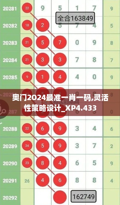 奥门2O24最准一肖一码,灵活性策略设计_XP4.433