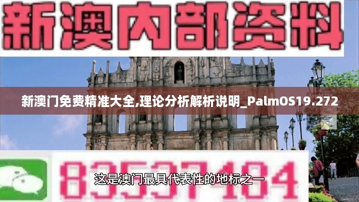 新澳门免费精准大全,理论分析解析说明_PalmOS19.272