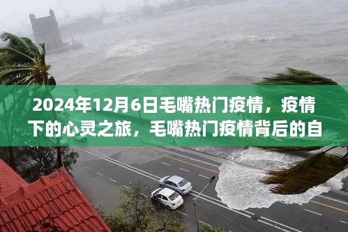 毛嘴热门疫情的心灵之旅与自然探索背后的故事（2024年12月6日）