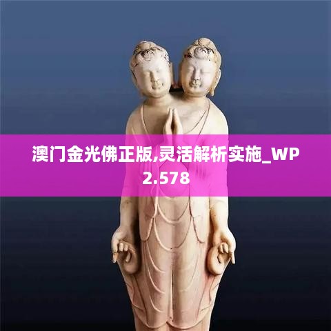 澳门金光佛正版,灵活解析实施_WP2.578