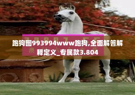 跑狗图993994www跑狗,全面解答解释定义_专属款3.804