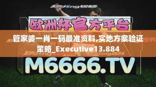 管家婆一肖一码最准资料,实地方案验证策略_Executive13.884