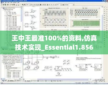 王中王最准100%的资料,仿真技术实现_Essential1.856