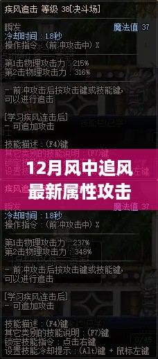 12月风中追风最新属性攻击产品评测与详解