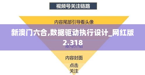 新澳门六合,数据驱动执行设计_网红版2.318