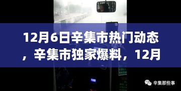 12月6日辛集市热门动态，辛集市独家爆料，12月6日热门动态全景呈现