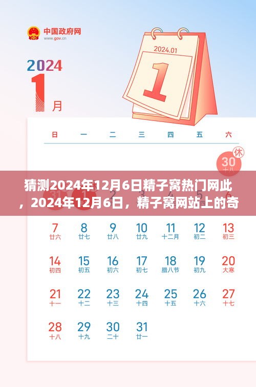 揭秘精子窝网站，2024年12月6日的奇妙一天探索