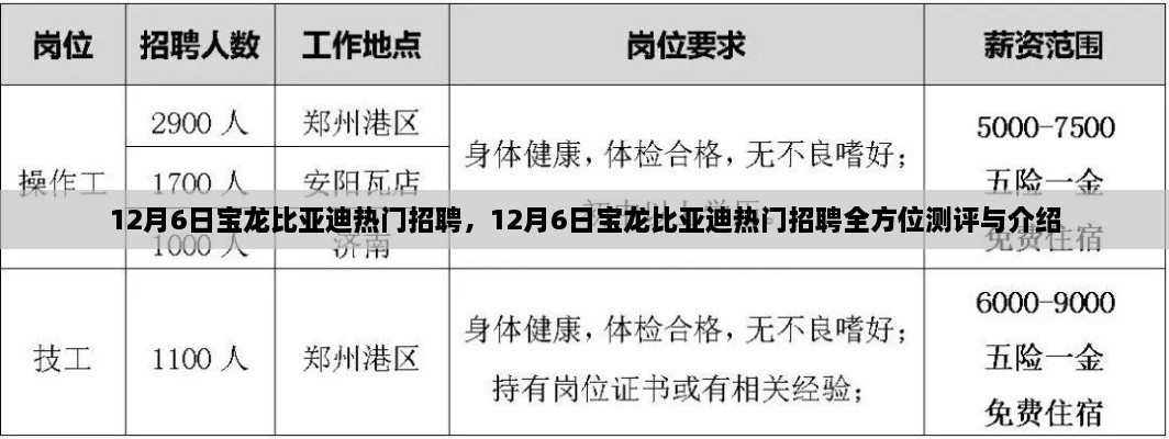 12月6日宝龙比亚迪热门招聘全方位测评与详解