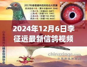 2024年12月7日 第11页