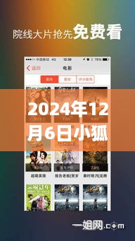 小狐影院在2024年12月6日的辉煌时刻与长远回响，热门电影院的回响与未来展望