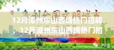 12月漳州东山西埔热门招聘现象深度解析，吸引人才的优势与挑战