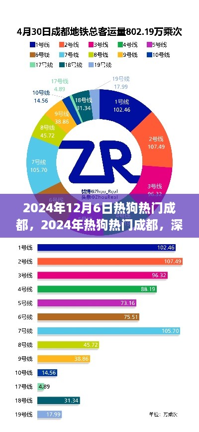 2024年热狗在成都，深度评测与介绍