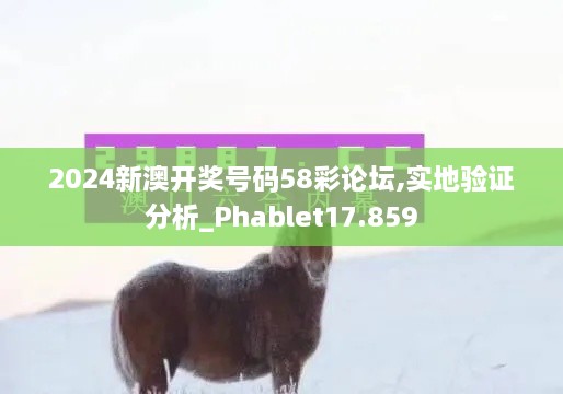 2024新澳开奖号码58彩论坛,实地验证分析_Phablet17.859