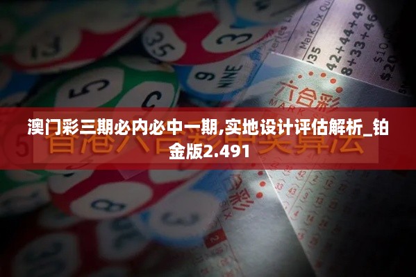 澳门彩三期必内必中一期,实地设计评估解析_铂金版2.491