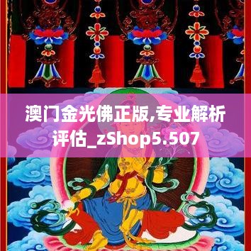 澳门金光佛正版,专业解析评估_zShop5.507