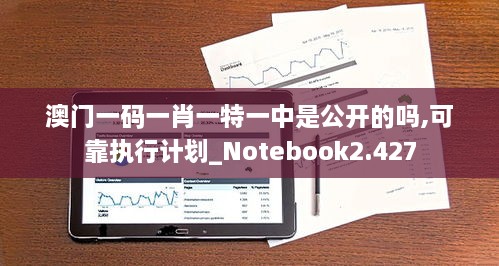 澳门一码一肖一特一中是公开的吗,可靠执行计划_Notebook2.427