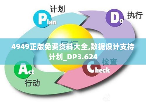 4949正版免费资料大全,数据设计支持计划_DP3.624