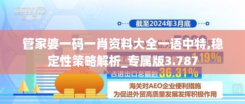 管家婆一码一肖资料大全一语中特,稳定性策略解析_专属版3.787