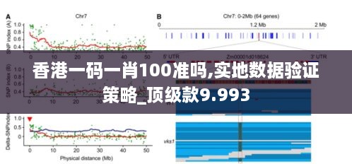 香港一码一肖100准吗,实地数据验证策略_顶级款9.993