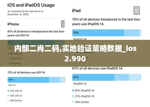 内部二肖二码,实地验证策略数据_ios2.990