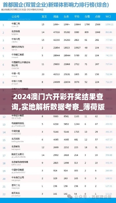 2024澳门六开彩开奖结果查询,实地解析数据考察_薄荷版8.389