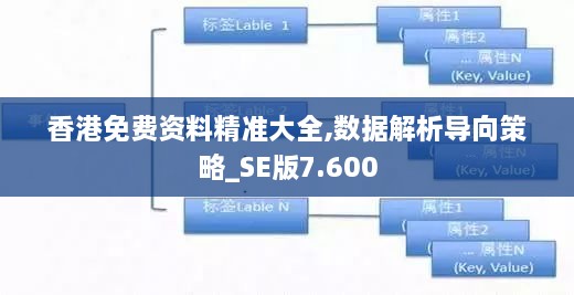 香港免费资料精准大全,数据解析导向策略_SE版7.600