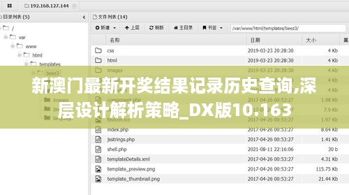 新澳门最新开奖结果记录历史查询,深层设计解析策略_DX版10.163