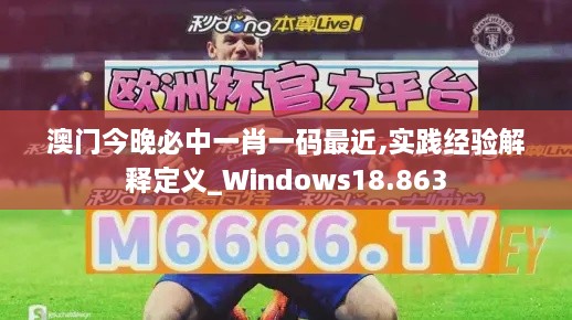 澳门今晚必中一肖一码最近,实践经验解释定义_Windows18.863