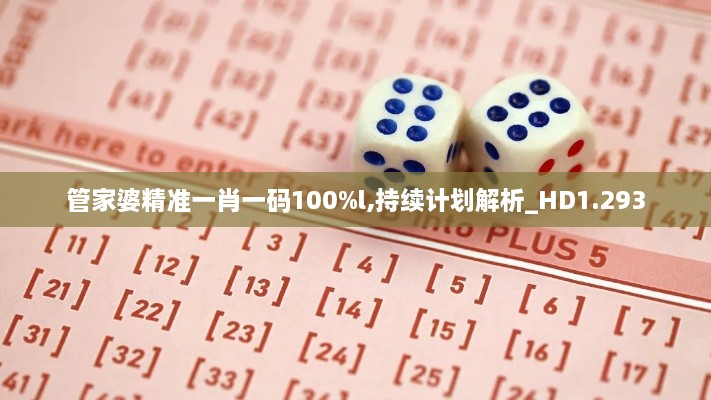 管家婆精准一肖一码100%l,持续计划解析_HD1.293