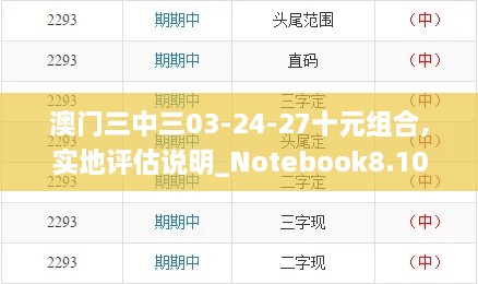 澳门三中三03-24-27十元组合,实地评估说明_Notebook8.100