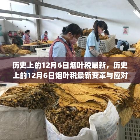 历史上的12月6日烟叶税最新变革与应对策略指南