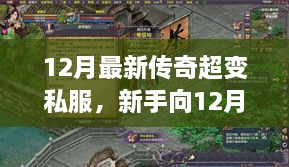 2024年12月8日 第33页