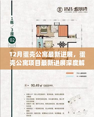 蛋壳公寓最新进展深度解析，机遇与挑战并存的项目进展报告