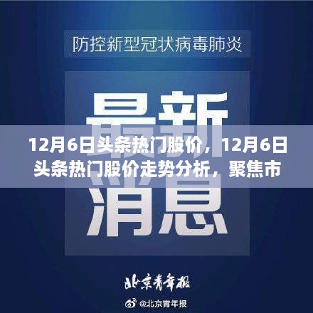 12月6日股市热门股价走势解析，市场热议焦点一览