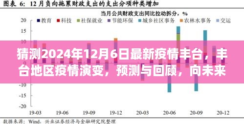 丰台地区疫情演变回顾与预测，向未来的希望之光（2024年12月6日最新预测）