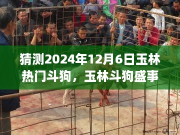 2024年玉林斗狗盛事预测与回顾，热门狗战影响及历史回顾