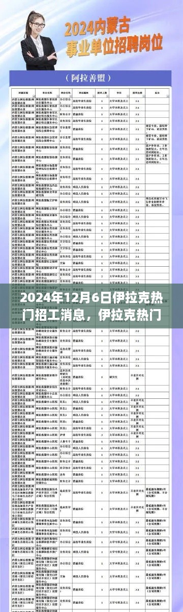 聚焦伊拉克，热门招工消息与行业动态，2024年12月6日深度解析