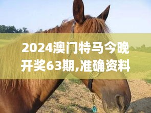 2024年12月9日 第62页