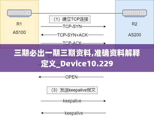 三期必出一期三期资料,准确资料解释定义_Device10.229