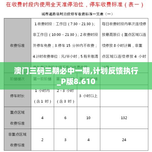 澳门三码三期必中一期,计划反馈执行_P版8.610