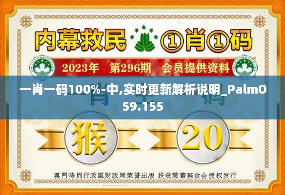 一肖一码100%-中,实时更新解析说明_PalmOS9.155