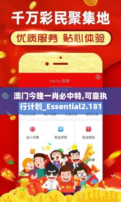 澳门今晚一肖必中特,可靠执行计划_Essential2.181