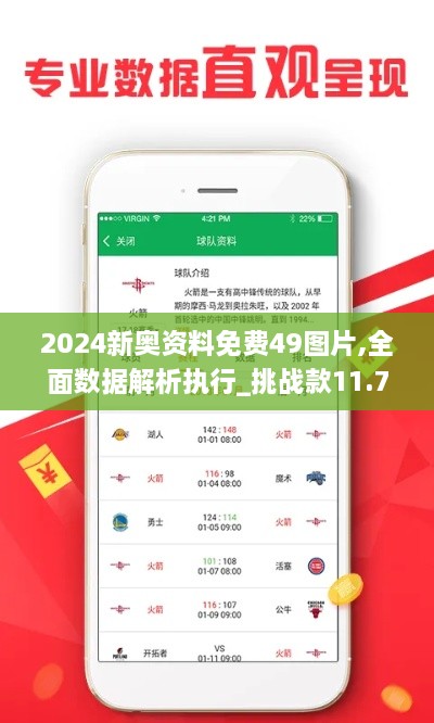 2024新奥资料免费49图片,全面数据解析执行_挑战款11.738