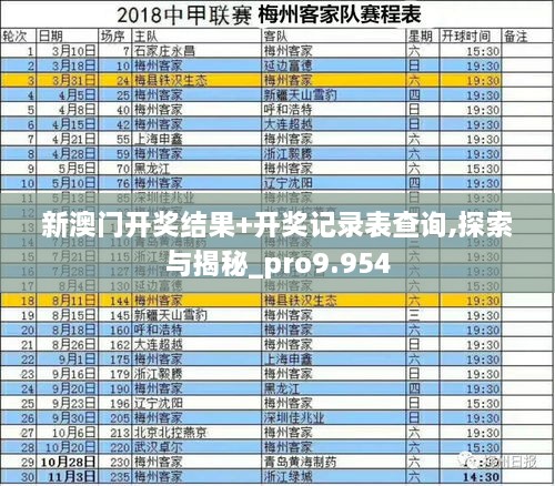 新澳门开奖结果+开奖记录表查询,探索与揭秘_pro9.954