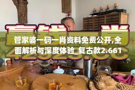 管家婆一码一肖资料免费公开,全面解析与深度体验_复古款2.661