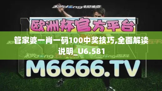 管家婆一肖一码100中奖技巧,全面解读说明_U6.581